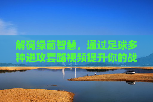 解码绿茵智慧,通过足球多种进攻套路视频提升你的战术素养