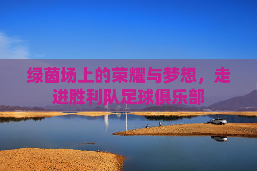 绿茵场上的荣耀与梦想,走进胜利队足球俱乐部