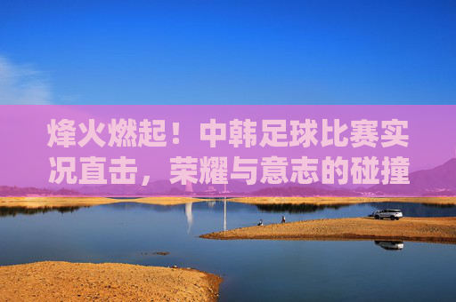 烽火燃起!中韩足球比赛实况直击,荣耀与意志的碰撞