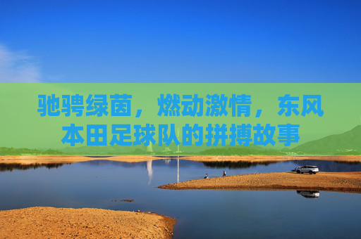 驰骋绿茵,燃动激情,东风本田足球队的拼搏故事