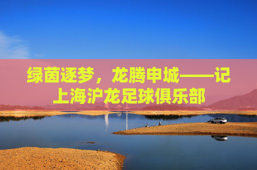 绿茵逐梦,龙腾申城——记上海沪龙足球俱乐部