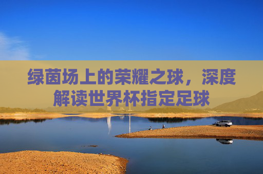 绿茵场上的荣耀之球,深度解读世界杯指定足球