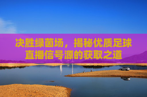 决胜绿茵场，揭秘优质足球直播信号源的获取之道