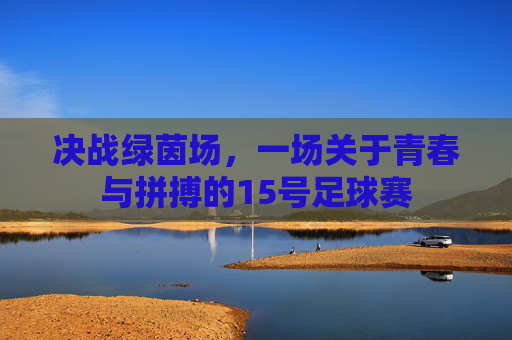 决战绿茵场，一场关于青春与拼搏的15号足球赛