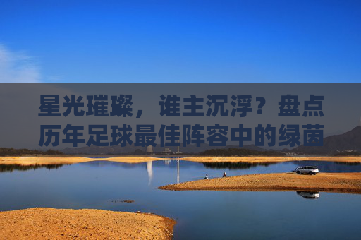 星光璀璨，谁主沉浮？盘点历年足球最佳阵容中的绿茵传奇