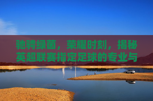 驰骋绿茵,荣耀时刻,揭秘英超联赛指定足球的专业与传奇