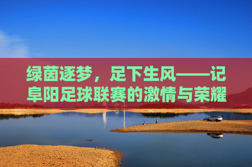 绿茵逐梦,足下生风——记阜阳足球联赛的激情与荣耀