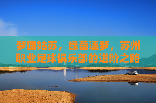梦回姑苏，绿茵逐梦，苏州职业足球俱乐部的进阶之路