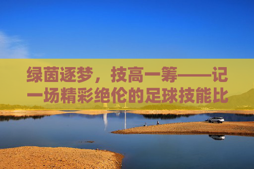 绿茵逐梦，技高一筹——记一场精彩绝伦的足球技能比赛