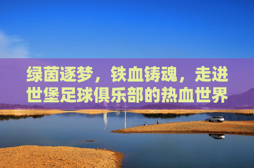 绿茵逐梦,铁血铸魂,走进世堡足球俱乐部的热血世界