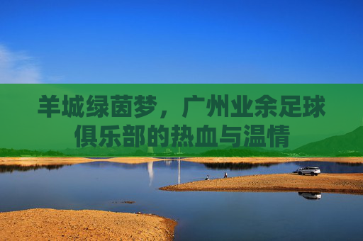 羊城绿茵梦,广州业余足球俱乐部的热血与温情