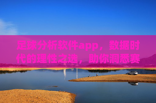 足球分析软件app,数据时代的理性之选,助你洞悉赛场风云
