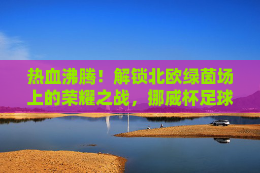 热血沸腾！解锁北欧绿茵场上的荣耀之战，挪威杯足球直播全攻略