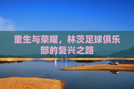 重生与荣耀,林茨足球俱乐部的复兴之路