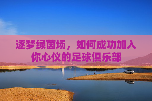 逐梦绿茵场,如何成功加入你心仪的足球俱乐部