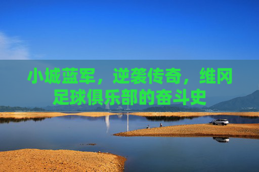 小城蓝军，逆袭传奇，维冈足球俱乐部的奋斗史