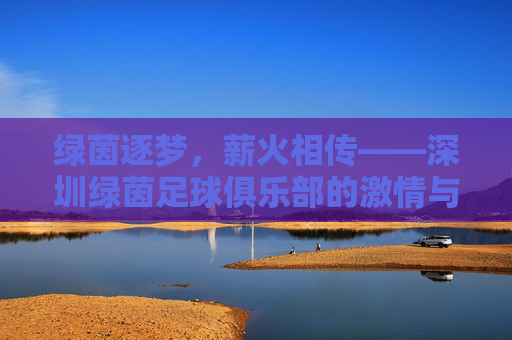绿茵逐梦,薪火相传——深圳绿茵足球俱乐部的激情与坚守