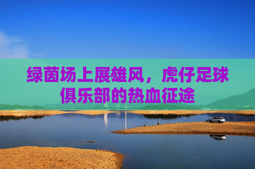 绿茵场上展雄风,虎仔足球俱乐部的热血征途