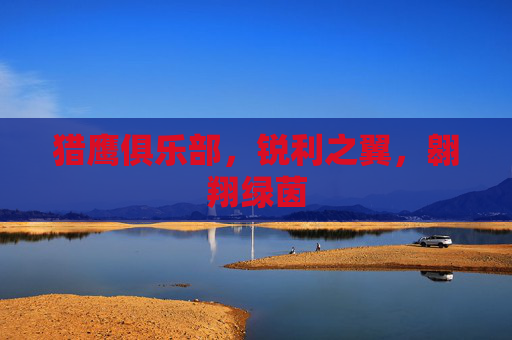 猎鹰俱乐部,锐利之翼,翱翔绿茵