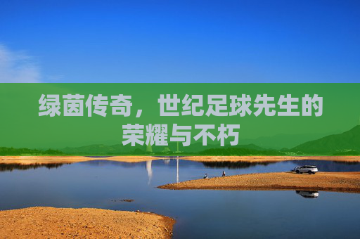 绿茵传奇，世纪足球先生的荣耀与不朽