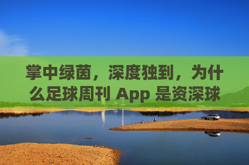 掌中绿茵,深度独到,为什么足球周刊 App 是资深球迷的必备神器?