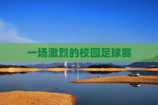 一场激烈的校园足球赛