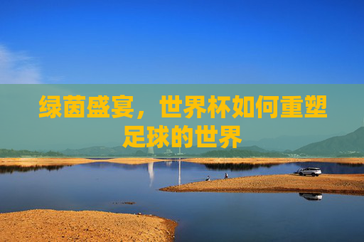 绿茵盛宴，世界杯如何重塑足球的世界