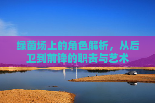 绿茵场上的角色解析,从后卫到前锋的职责与艺术