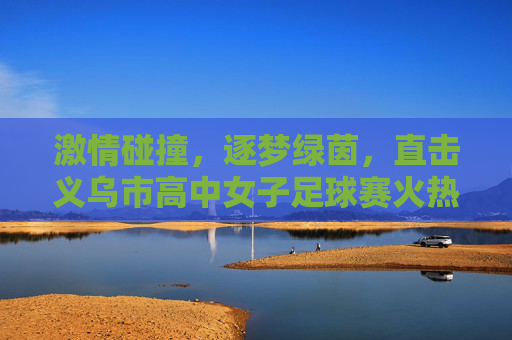 激情碰撞,逐梦绿茵,直击义乌市高中女子足球赛火热现场