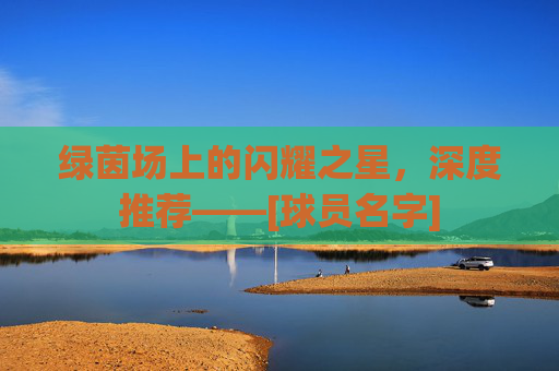 绿茵场上的闪耀之星，深度推荐——[球员名字]