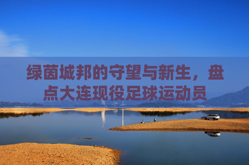绿茵城邦的守望与新生，盘点大连现役足球运动员