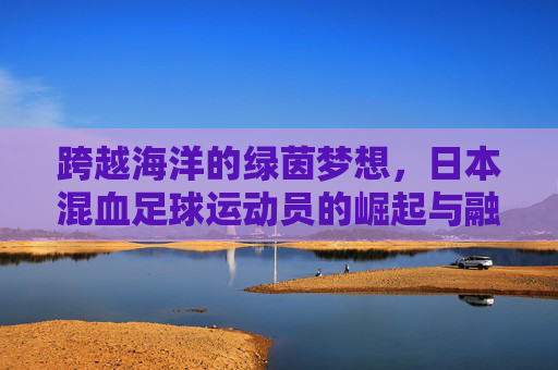 跨越海洋的绿茵梦想,日本混血足球运动员的崛起与融合
