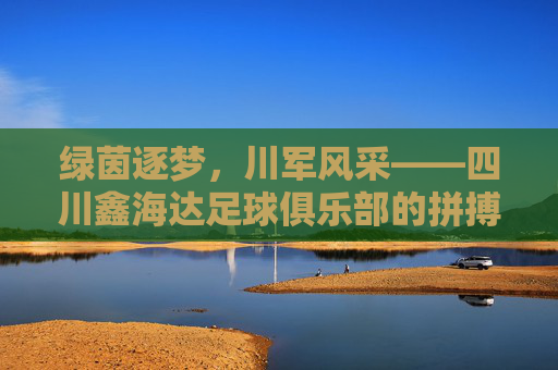 绿茵逐梦，川军风采——四川鑫海达足球俱乐部的拼搏之路