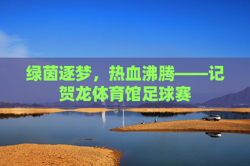 绿茵逐梦,热血沸腾——记贺龙体育馆足球赛