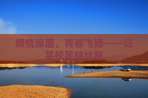 燃情绿茵,青春飞扬——记某校足球比赛