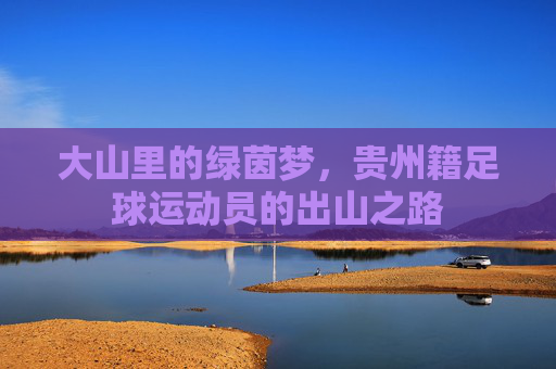 大山里的绿茵梦,贵州籍足球运动员的出山之路