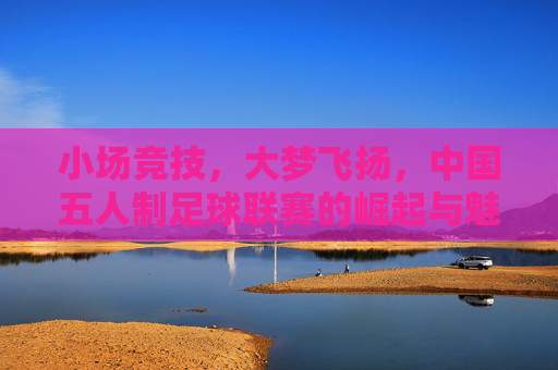 小场竞技,大梦飞扬,中国五人制足球联赛的崛起与魅力