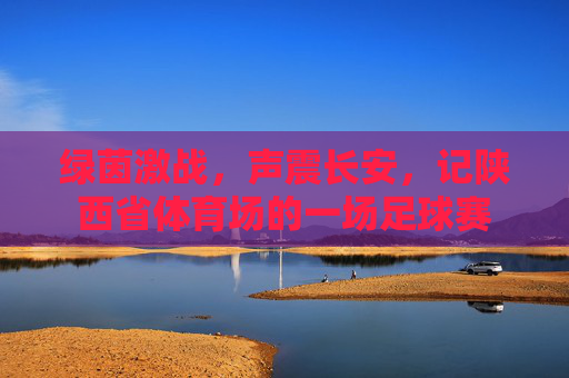 绿茵激战,声震长安,记陕西省体育场的一场足球赛