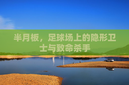 半月板,足球场上的隐形卫士与致命杀手