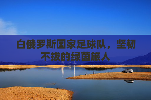 白俄罗斯国家足球队,坚韧不拔的绿茵旅人
