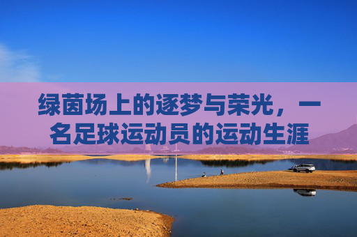 绿茵场上的逐梦与荣光,一名足球运动员的运动生涯
