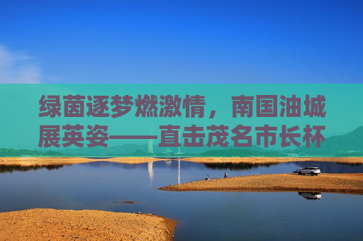 绿茵逐梦燃激情,南国油城展英姿——直击茂名市长杯足球赛
