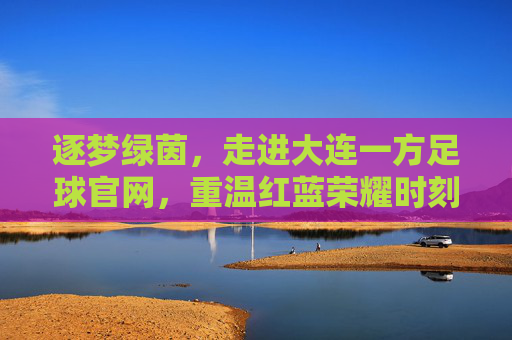 逐梦绿茵,走进大连一方足球官网,重温红蓝荣耀时刻