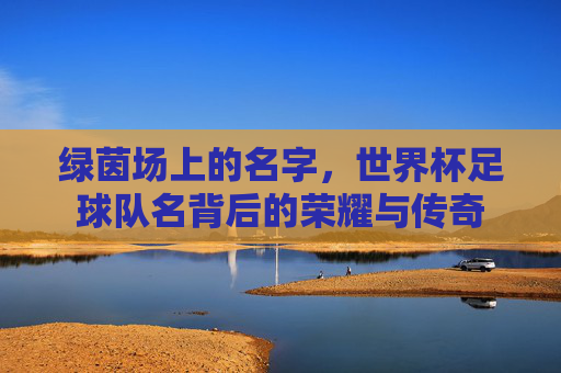 绿茵场上的名字,世界杯足球队名背后的荣耀与传奇
