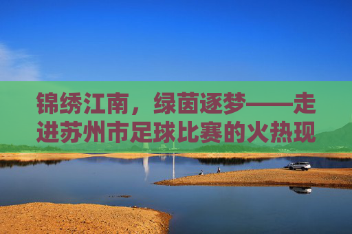 锦绣江南,绿茵逐梦——走进苏州市足球比赛的火热现场