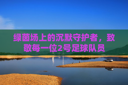 绿茵场上的沉默守护者,致敬每一位2号足球队员