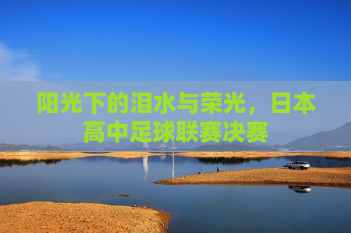 阳光下的泪水与荣光,日本高中足球联赛决赛