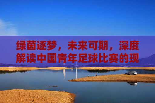 绿茵逐梦,未来可期,深度解读中国青年足球比赛的现状与希望