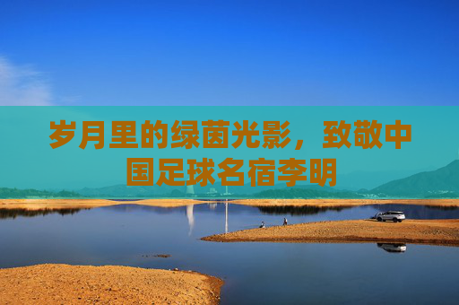 岁月里的绿茵光影,致敬中国足球名宿李明