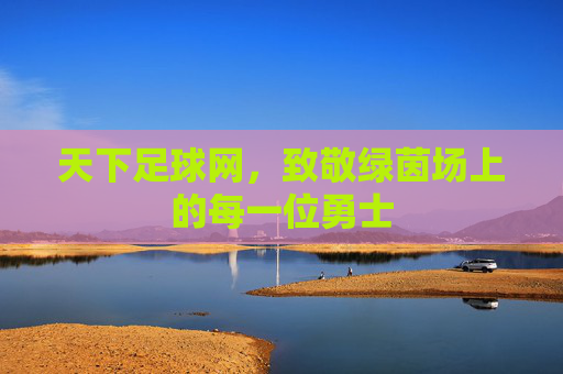 天下足球网,致敬绿茵场上的每一位勇士